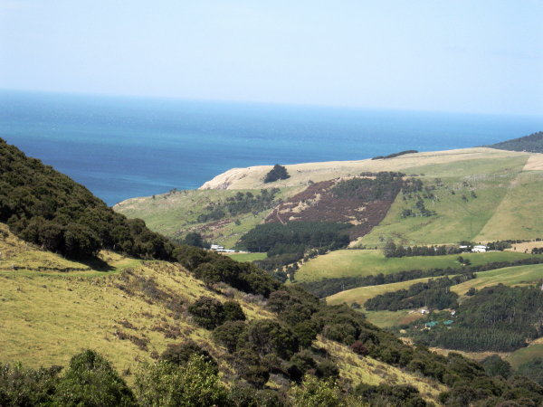 Pastoral views from Dunedin, NZ