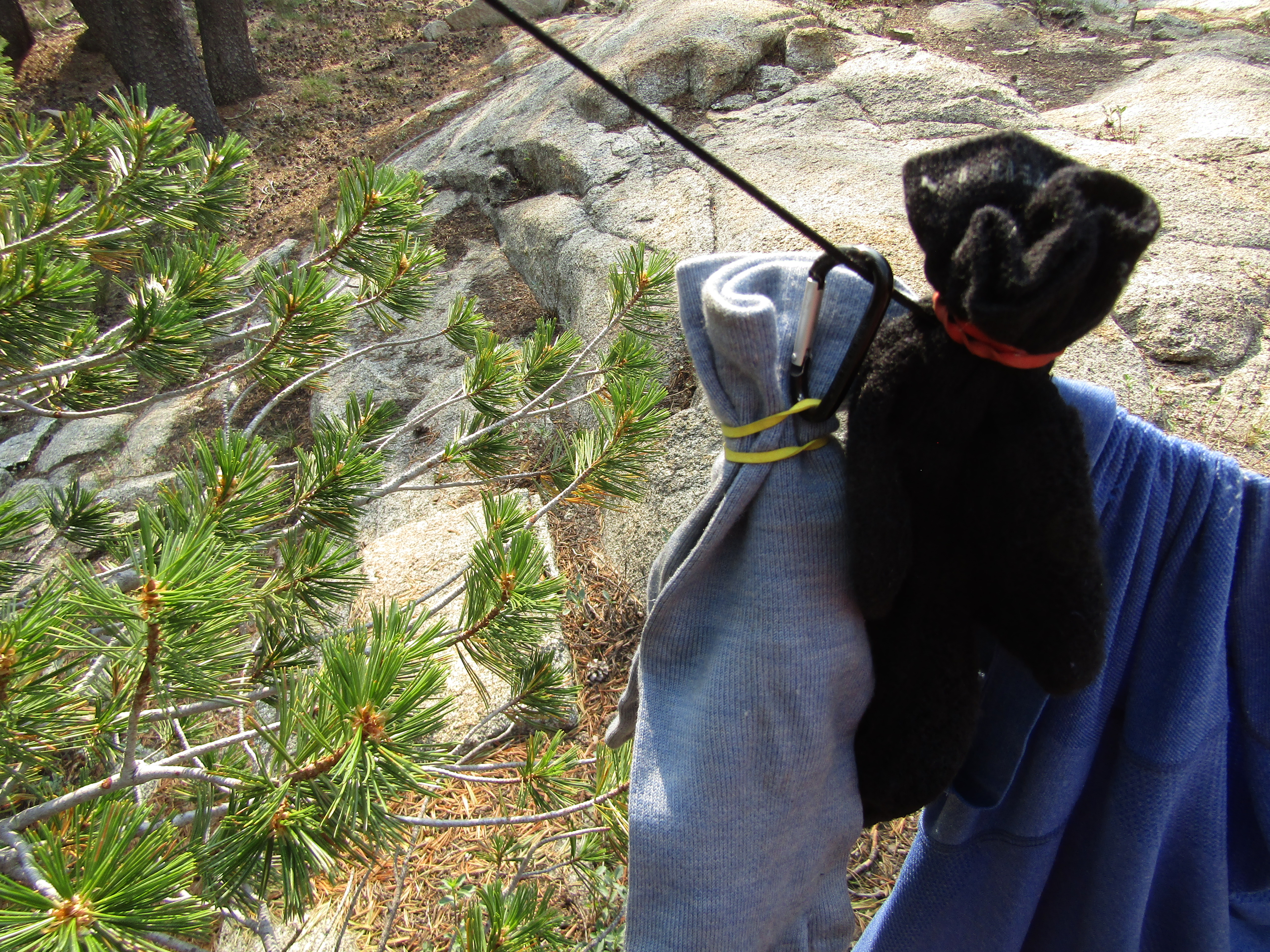 One pair of socks hanging by a carabiner, the other draped over the line, both with rubber bands.