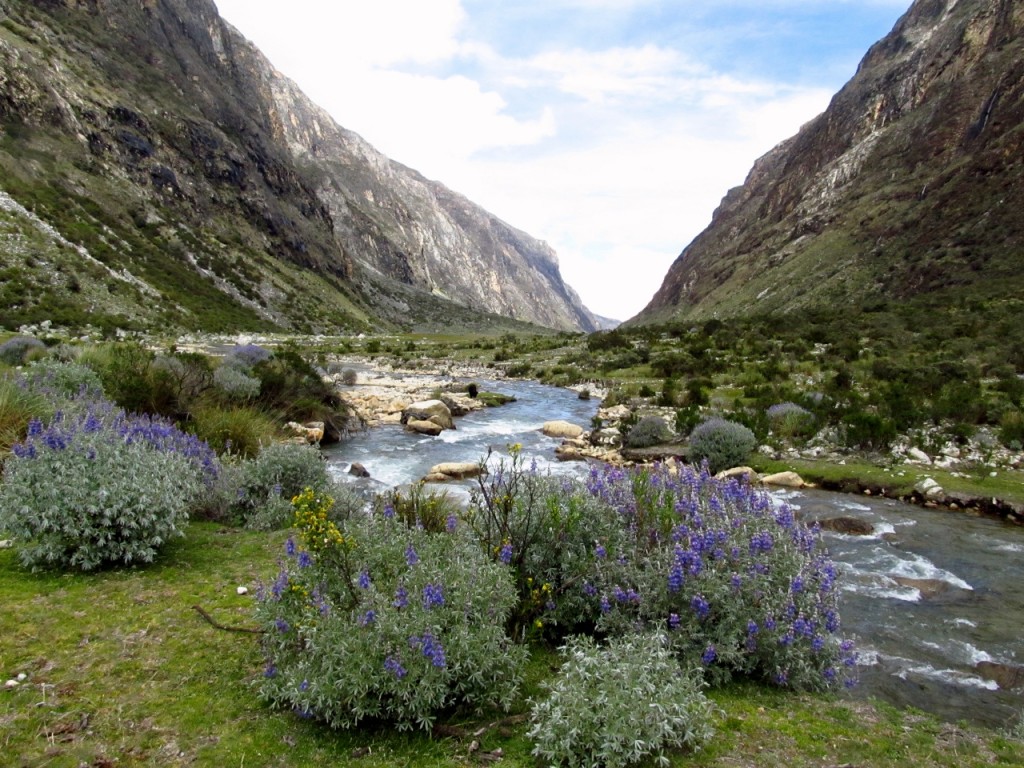 The Santa Cruz River was almost always accessible from the trail and campsites the first two days