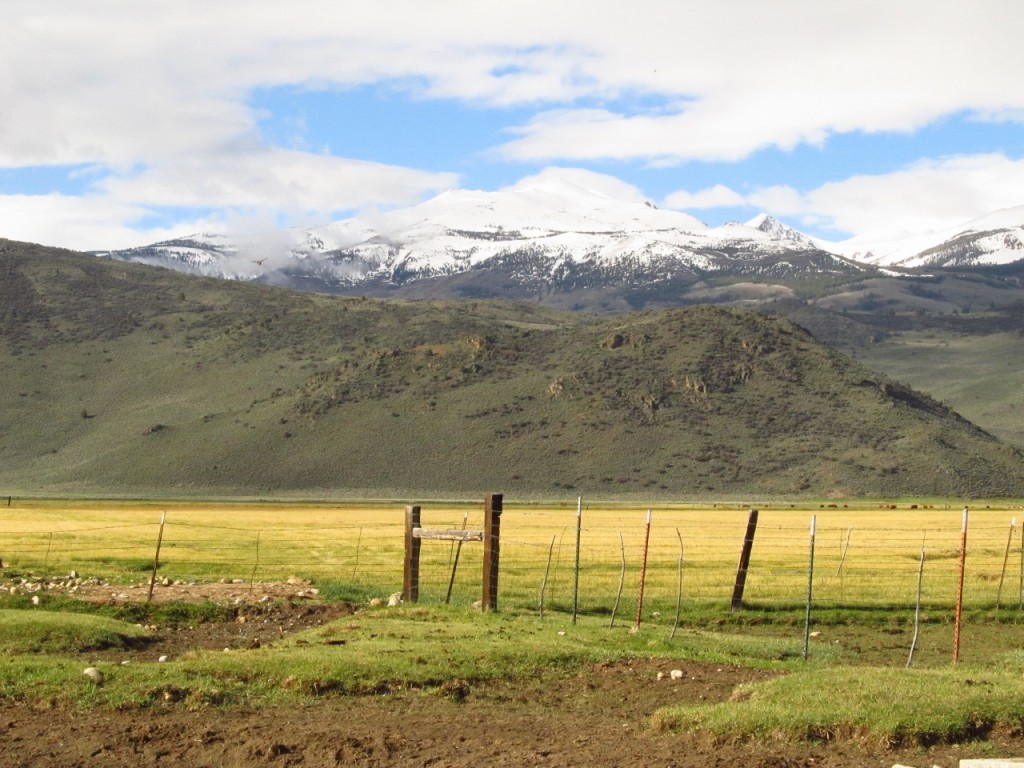 The snow-clad peaks of the Sierra rise up behind the Hunewill Ranch