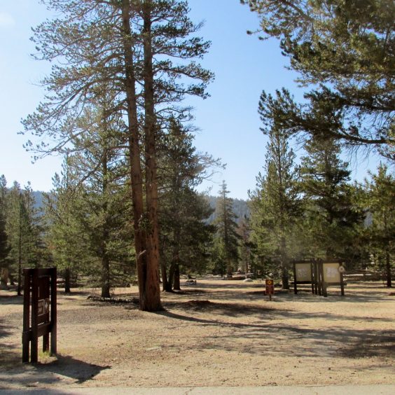 Horseshoe Meadow campground