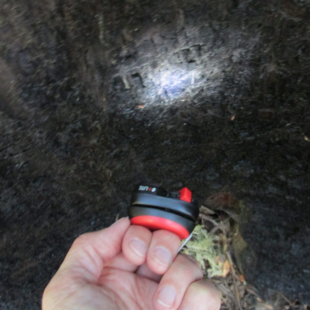 The light is bright and can be worn as a "finger flashlight" or headlamp. 