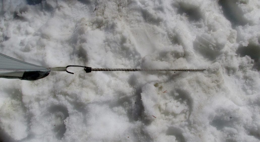 Bungee cord tent stake