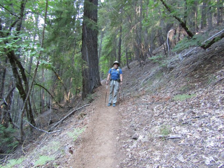 Forested trail heading uphill