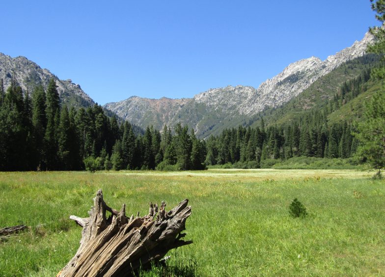Large, green meadow with mountain backdrop