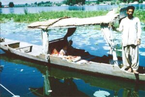 A Kashmiri man stands on his wooden shikara boat on Dal lake with two Western children