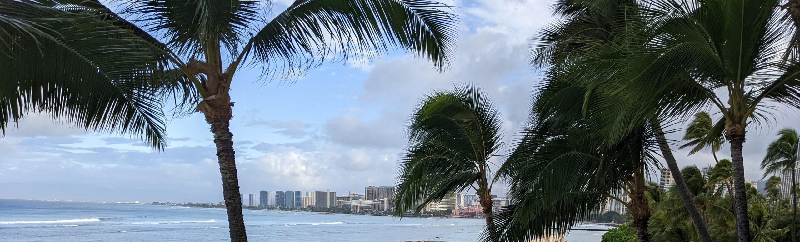 Beach with palm trees and view of Waikiki