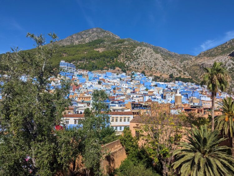 Cluster of blue buildings marching up a hill with taller mountains above