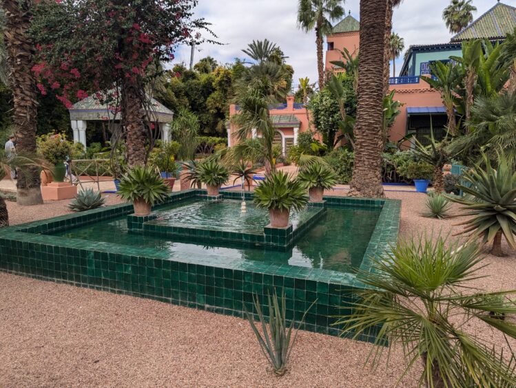 Green tiled water feature with various succulents in front of a pink stucco house with blue trim