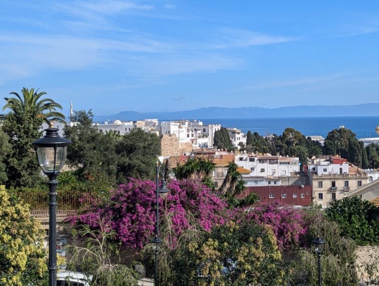 Splash of purple bougainvillea against cluster of white and brick buildings with the Mediterranean Sea and hills of Spain in the background