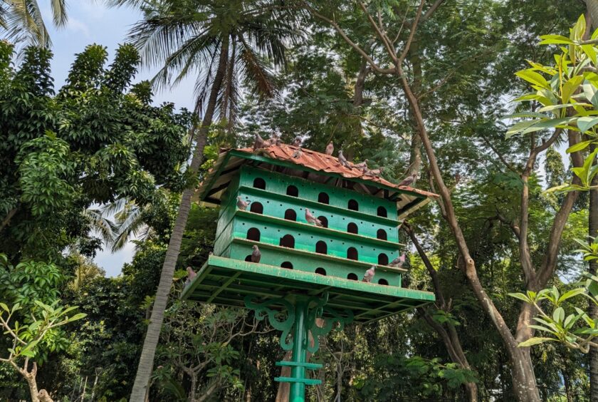 Dense tropical foliage surrounds a wooden, multilevel birdhouse