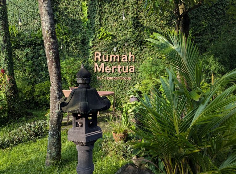 Lush, tropical garden at the hotel