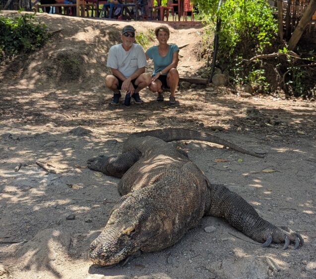 Man and woman crouching behind a large Komodo dragon