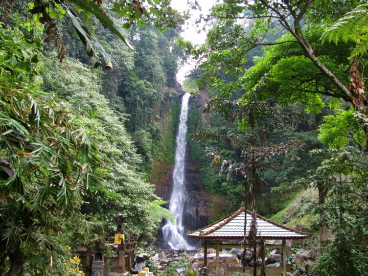 Waterfall in dense tropical foliage