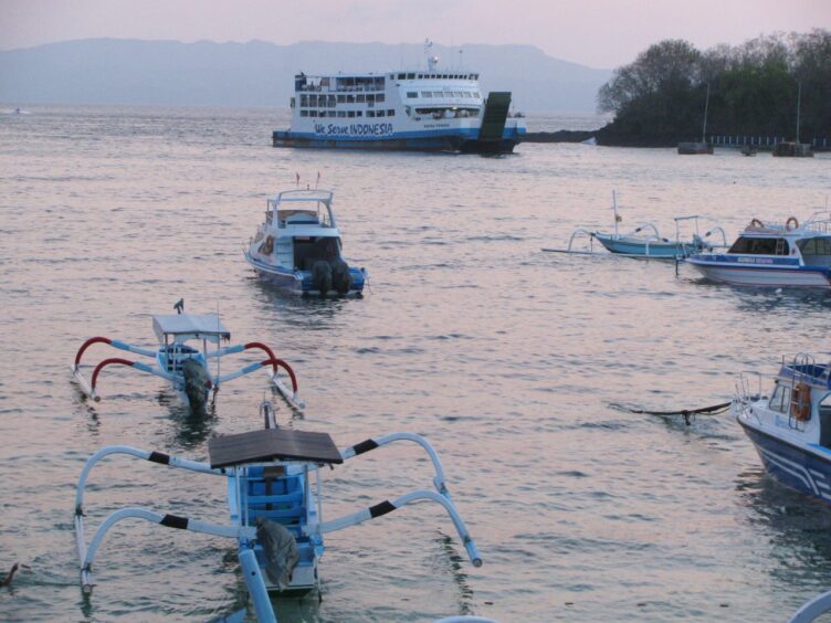 Large ferry, fast boats and small catamarans at a harbor