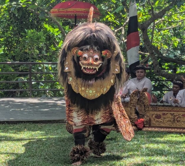 Dancer in costume with mask