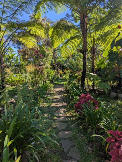 Flagstone path leading into lush tropical foliage